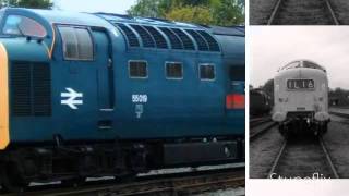 Deltics Gala NRM Locomotion Shildon [upl. by Fleur238]