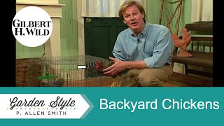 Chicken Backyard Farming  Garden Style 412 [upl. by Fortunio]