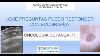 TALLER DE INTRODUCCION A LA ECOGRAFIA CUTANEA TUMORES CUTANEOS 1 [upl. by Anne-Corinne680]