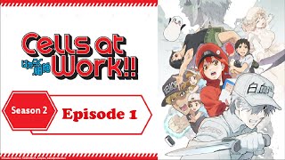 Cells at Work S2 Ep 1 All Cells Assemble [upl. by Llehcnom]