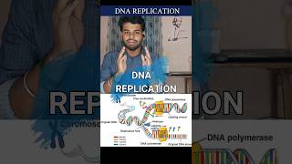 Dna replicationProkaryotesEukaryotestamilnotestypesdiagramsemiconservativecsir net [upl. by Carrelli]