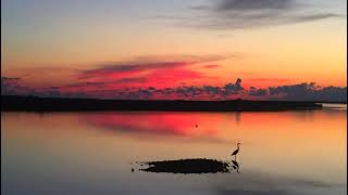 Steinhatchee River Webcam [upl. by Germaine973]