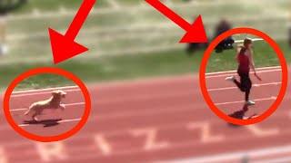 Dog Runs Down Leader And Wins Track Race [upl. by Arabele]