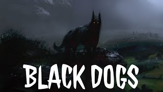 MF 28 Black Dogs British MythologyFolklore [upl. by Aronid589]