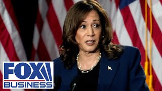 Small business owner responds to Kamala Harris price gouging accusations [upl. by Stromberg]