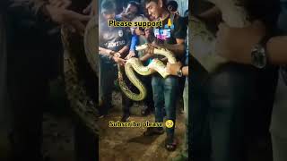 A Big ojogor snakesnake sankar shortsviral vairalshortforyou yotubetrending foruyoupage [upl. by Cyrus]