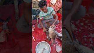 Amazing big katla fish cutting skills fish fishcuttingskill fishcooking fishing food shorts [upl. by Marvin]