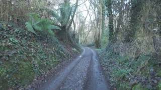 The WAY to NARE Point and HELFORD river walk cornwall kernow exploring dji drone [upl. by Julia55]