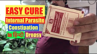 HOW to Epsom Salts Cure for Freshwater Aquarium Fish amp Pond Fish Dropsy Bloat amp Internal Parasite [upl. by Samuel]