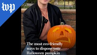 The most ecofriendly ways to dispose your Halloween pumpkin [upl. by Ziegler]