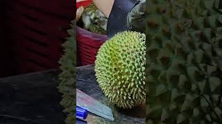 Sattahip durian [upl. by Norrad]