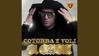 Cotorra Y Voli feat Pitbull [upl. by Voorhis]