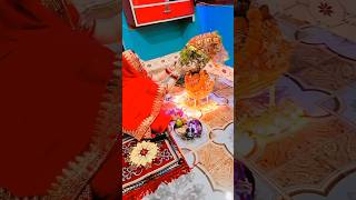 Tulsi Vivah 🌿🌿🌿tulsivivah trendingshorts status [upl. by Onaimad]