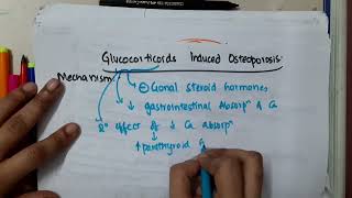 glucocorticoid induced osteoporosis mp4  Pharmacology [upl. by Rosenbaum]