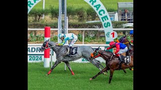 GREY BEAUTY wins The Newmarket Handicap [upl. by Llerahs960]