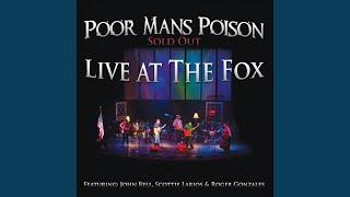 Poor Mans Poison Live [upl. by Esydnac360]