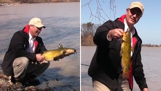 Spring Shore Fishing for Bullhead and Big Channel Catfish [upl. by Wiles692]