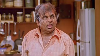 Brahmanandam Super Comedy Scene  Soggadu Telugu Movie  SP Movies Scenes [upl. by Acinoreb441]