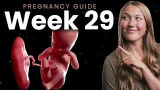 29 Weeks Pregnant  Week By Week Pregnancy [upl. by Ofella826]