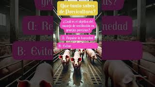 ¿Cuál es el objetivo del manejo de ventilación en granjas porcinas cerdos porcicultura [upl. by Patt]