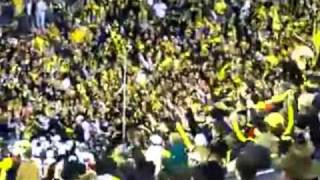 Best MLS fans 2011 [upl. by Ayad809]