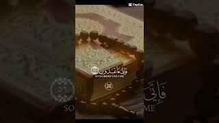 Subhanalla 🤲🤲🤲islamic video islamicstatus [upl. by Tiffa]