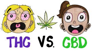 THC vs CBD Whats In Your Weed [upl. by Yanehc]