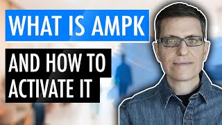 What is AMPK and How to Activate It [upl. by Nolyar]