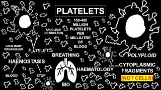 HAEMATOLOGY  Platelets  Breathing Bio [upl. by Sualocin]