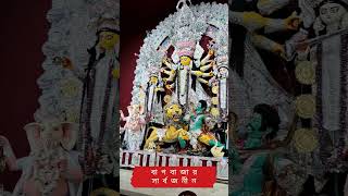 Inside the Most Beautiful Durga Puja Pandal in Bagbazar Sarbojonin Durgapujo [upl. by Kreindler]