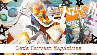 Magazine Harvesting For Creative Journals [upl. by Esemaj]