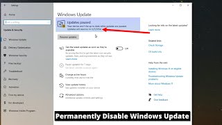 How to Permanently Disable Windows Updates [upl. by Keisling]