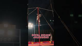 Royal circus 🎪 ￼🤹🤡in Jalandharnear Pathankot bypasskon kon gaye dakhne jalandher circus [upl. by Bobette]