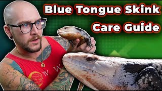 Blue Tongue Skink Care Guide 2024 [upl. by Animor]