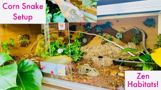 Corn Snake Enclosure Upgrade into Zen Habitats [upl. by Magulac748]