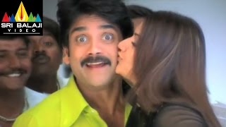 Nenunnanu Songs  Noojiveedu Kellina Video Song  Nagarjuna Aarti Shriya  Sri Balaji Video [upl. by Ahsercel535]