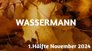 Wassermann 1Hälfte Nov 2024  Vertraue in dieser Sache auf dein Bauchgefühl [upl. by Nahtaneoj]