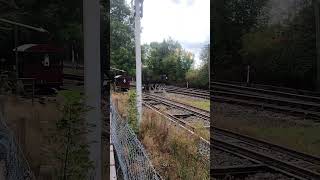 Wickham Trolley short petrol train railway museum shorts shortvideo [upl. by Samuel]