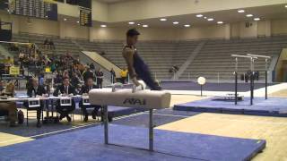 Pommel Horse Flop sequences [upl. by Roxanna518]