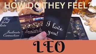 LEO♌ ❤️‍🔥THEYRE BEING GENUINE TRUST THEM❤️‍🔥THEY WONT RISK LOSING YOU❤️‍🔥LEO LOVE TAROT❤️‍🔥 [upl. by Boice]