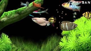 Dream Aquarium screensaver HD [upl. by Sandor]