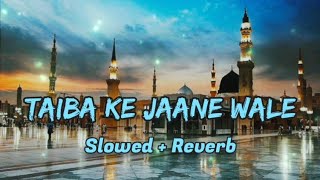 Taiba Ke Jaane WaleðŸ’š  Slowed  Reverb  Ghulam Mustafa Qadri  youtube slowedandreverb naat [upl. by Nohcim]