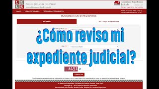 ¿Cómo reviso mi expediente judicial [upl. by Llertniuq]