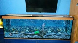 🔧TUTORIAL  Como hacer un Acuario casero de 2metros y 600 litros para tus peces [upl. by Torrey626]