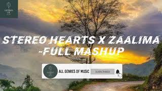 Stereo Hearts X Zaalima  Full Mashup Lyrics [upl. by Bolme]