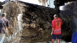 unexpected surprise while sawing ancient log at the sawmill [upl. by Yolanthe]