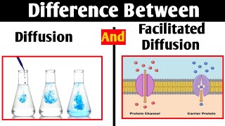 Diffusion and Facilitated Diffusion Differences  What is diffusion What is Facilitated Diffusion [upl. by Enerehs]