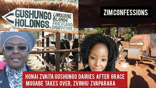 Honai Zvaita Gushungo Dairies After Grace Mugabe Takes Over Zvinhu Zvaparara Estate Collapses [upl. by Clarhe]