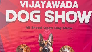 Vijayawada Dog Show October 2024 trending dog dogshow petlover pets petlovers pet [upl. by Hayashi75]