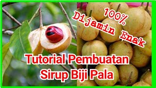 Tutorial Sirup Biji Pala [upl. by Menendez]